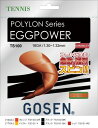 GOSEN TS101 | GbOp[ 17/POLYLON EGGPOWER 17(P) ejXKbg S[Z 2020SS y[։/ 񂹁z