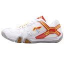 【超特価】LI-NING AYTJ058-1 レディース(21.5cm-24.0cm) バドミントン プロフェッショナルシューズ 軽量 リーニン