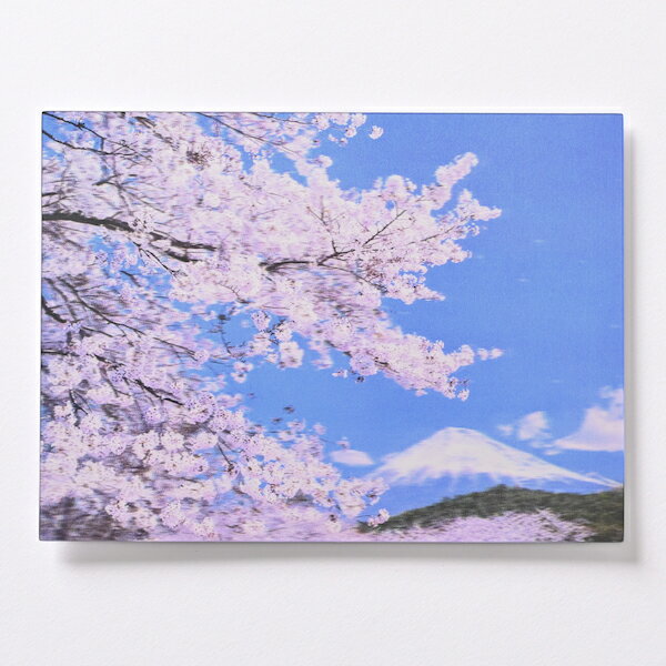 春カード サクラ3Dポストカード 桜と富士山 横型 PN1282 イーズプロダクツ EASE グリーティングカード 大人 シンプル きれい 手紙 絵はがき 立体視