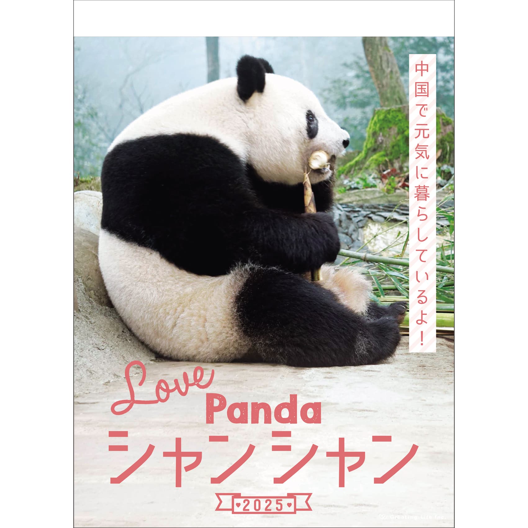 2025年度カレンダー 壁掛け シャンシャン パンダ C-1590-PA グリーティングライフ 令和7年 月曜始まり かわいい 大人 動物 写真のサムネイル