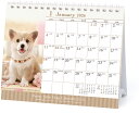 【予約商品】2026年度カレンダー 卓上 034 仔犬(卓上) 1000136884 APJ アートプリントジャパン 令和8年 日曜始まり かわいい 動物 写真...
