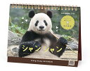 【予約商品】2026年度カレンダー 卓上 044 シャンシャン in 中国(卓上)(高氏貴博) 1000136894 APJ アートプリントジャパン 令和8年 ...