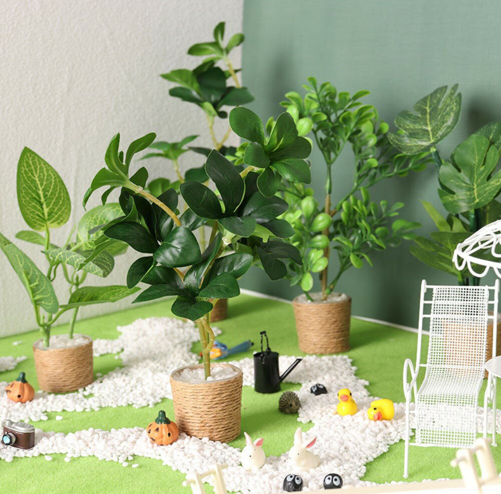 楽天市場】観葉植物 ミニチュアの通販 楽天市場】観葉植物 ミニチュアの通販