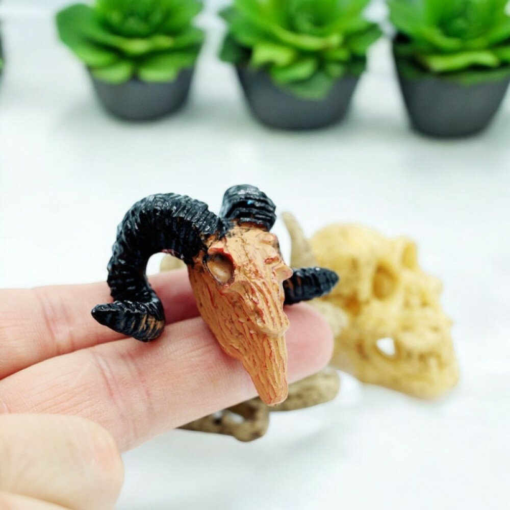 90000440(1点)ミニチュア樹脂製 ミニチュア動物頭骨/リアル造形のスカルオブジェ リアル造形×手のひらサイズ!飾って映える骨格模型 動物頭骨 テラリウム...