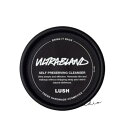 lush ラッシュ ウルトラブランド(俳句) 95g クレンジング 正規品