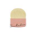 paul & joe beaute ポール アンド ジョー パウダー ファンデーション ブラッシュ 正規品