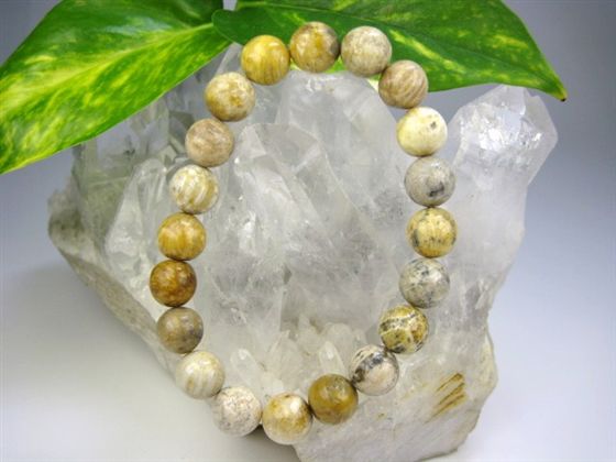 【ブレスレット】フォシルコーラル(珊瑚化石)Φ10.2±0.2mm【一点物】