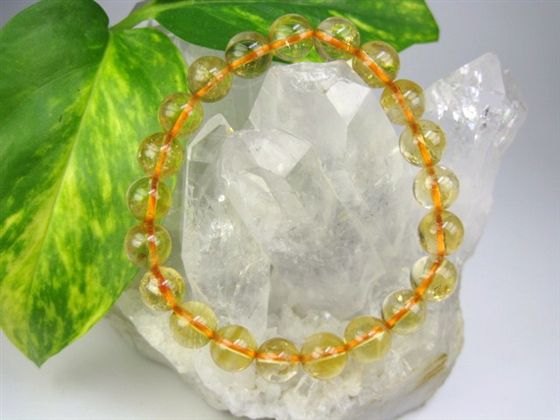 ڥ֥쥹åȡŷȥ90.2mmڰʪ