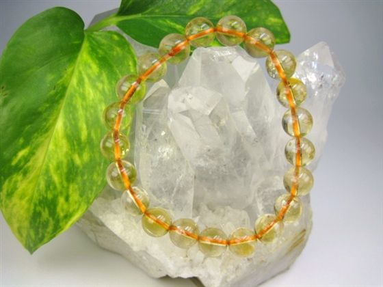 ڥ֥쥹åȡŷȥ9.20.2mmڰʪ