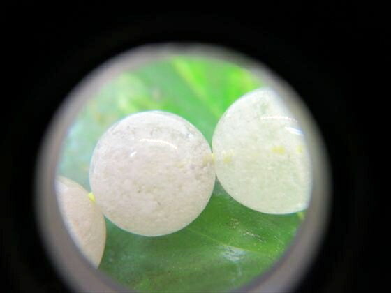 【ブレスレット】リビアングラスΦ10.8±0.2mm【鑑定済み】【一点物】