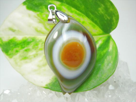 ڥڥȥȥåסŷ332110mmڰʪ