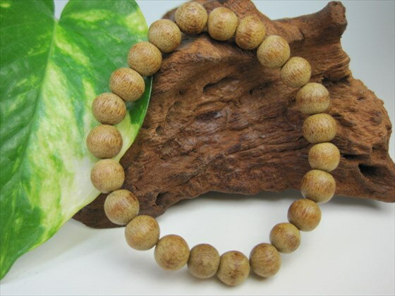 ڥ֥쥹åȡۥ()٥ȥʥ໺ʼAAA9.50.3mmڰʪ