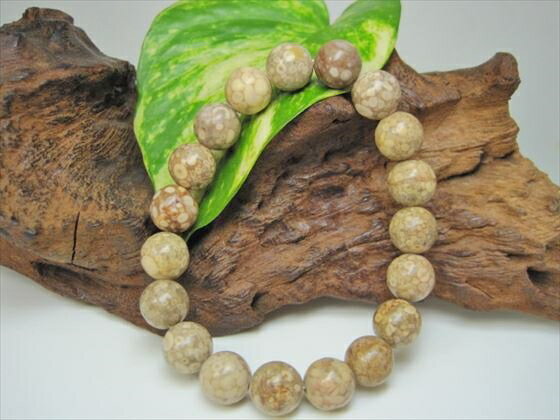 【均一ブレスレット】ペトリファイドシェルΦ10±0.2mm