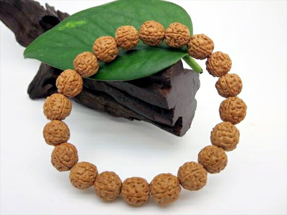 【均一ブレスレット】金剛菩提樹(ルドラクシャ)Φ10±0.5mm