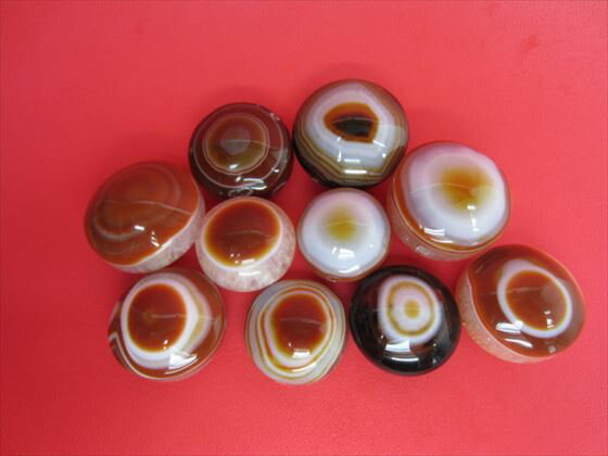 【チベット高級天珠】羊眼板珠・天眼珠23-30×11-20mm【水晶入り】【10粒SET】【一点物】