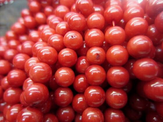 【連売り商品】レッドコーラル（珊瑚）Φ6.3±0.3mm