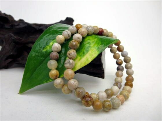 【均一ブレスレット】フォシルコーラル(珊瑚化石)Φ6.6±0.2mm