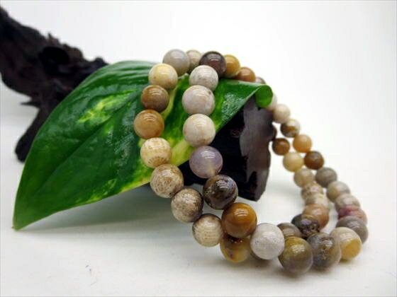 【均一ブレスレット】フォシルコーラル(珊瑚化石)Φ8±0.3mm