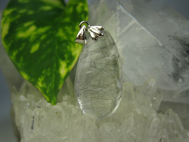 �ڥڥ����ȥȥåסۥ֥�å�����륯������7.5g�ڰ���ʪ��