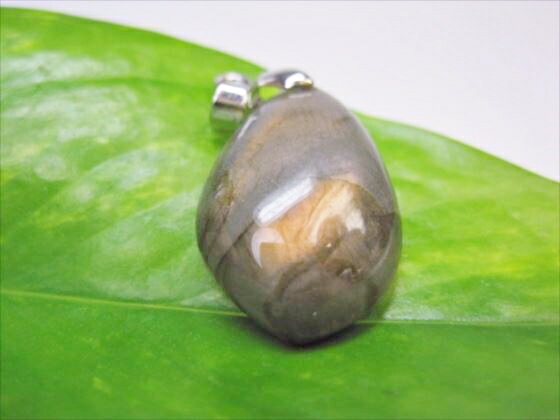 �ڥڥ����ȥȥåסۥ�֥�ɥ饤�ȡ�5��SET�ۡڰ���ʪ��