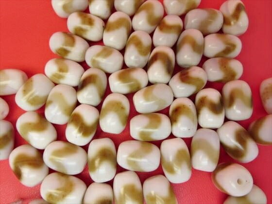 【チベット天珠】虎牙天珠18×13mm【4粒SET】