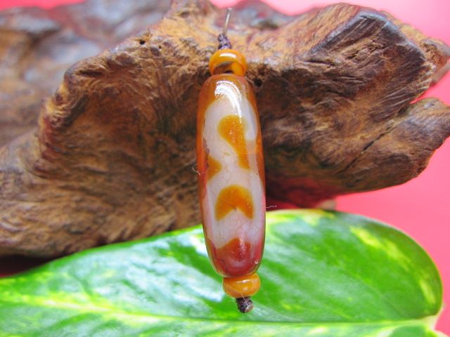 【チベット高級龍紋天珠】水蓮花天珠【鉱物入り】