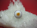 【チベット高級天珠】羊眼板珠・天眼珠約14×11mm【一点物】