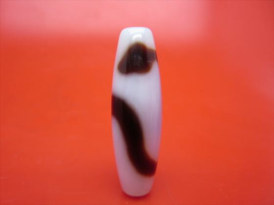 【チベット高級天珠】白蛇天珠・白約38×11.6mm【一点物】