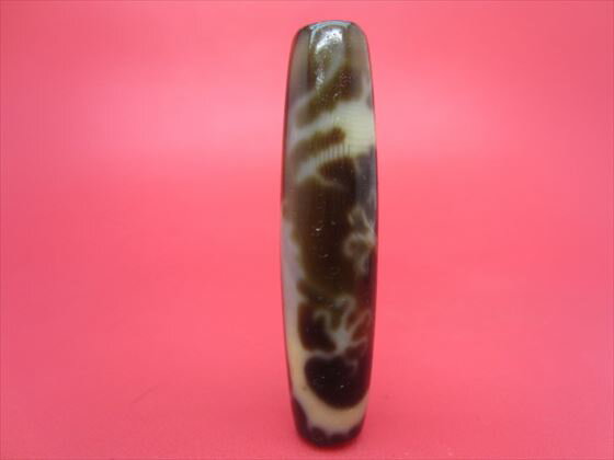 ڥ٥åȹŷζŷۡڰʪ