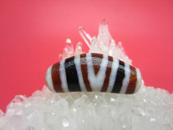 ڥ٥åŷڵѡۡۡڰʪ