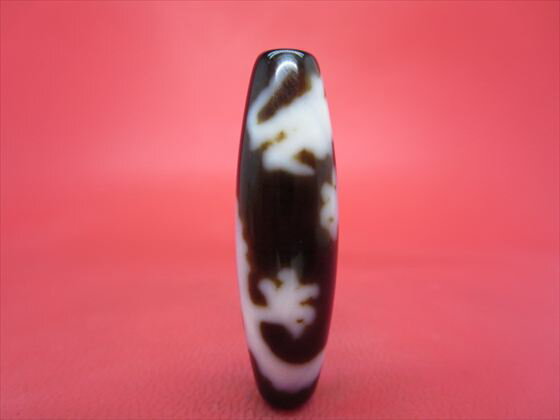 ڥ٥åȹŷζŷ3911.5mmڰʪ