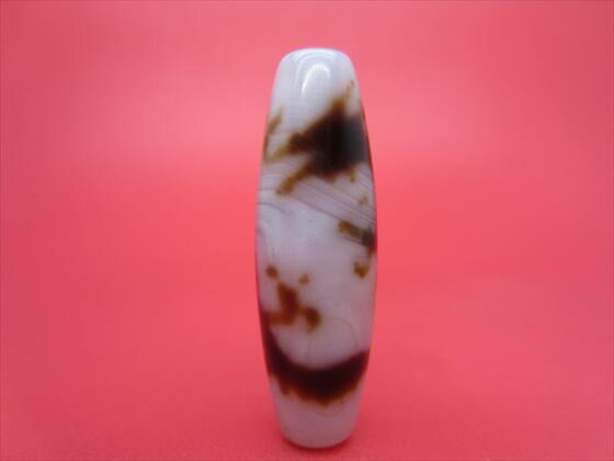 【チベット高級天珠】龍神天珠・白【一点物】