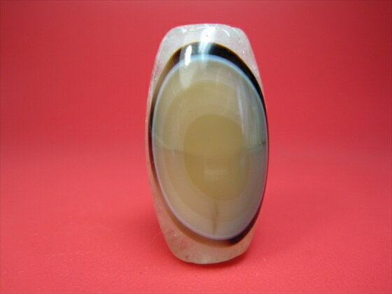 【チベット高級天珠】羊眼板珠・天眼珠約33×18mm【水晶入り】【一点物】