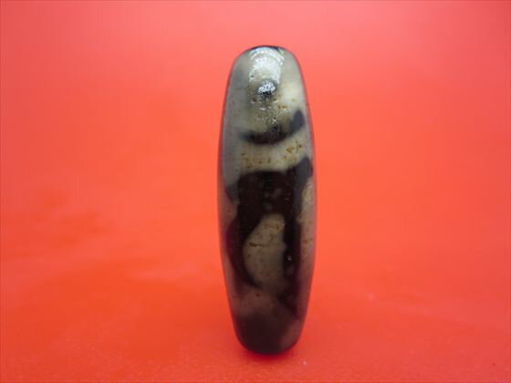 【チベット老天珠風天珠】万字大日如来天珠(バン)約38×13mm【一点物】