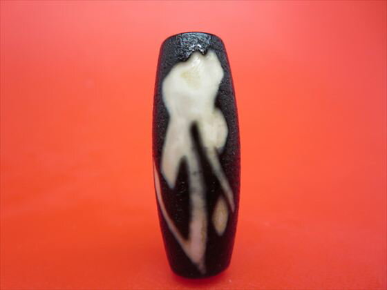 【チベット天珠】如意虚空蔵菩薩天珠(タラーク)約38×14mm【龍鱗加工】【一点物】