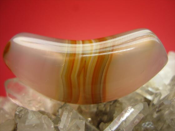 【チベット天珠】天然線珠【牛角】【一点物】