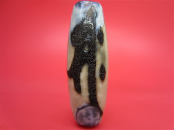 ڥ٥åŷǡŷ()ŷۡڰʪ