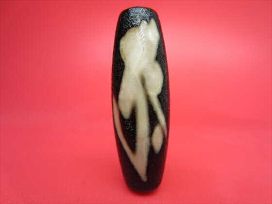 ڥ٥åŷǡյ¢ŷ(顼)ζڲùۡڰʪ