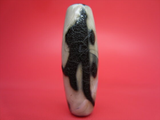 ڥ٥åŷǡŷ()ŷۡڰʪ