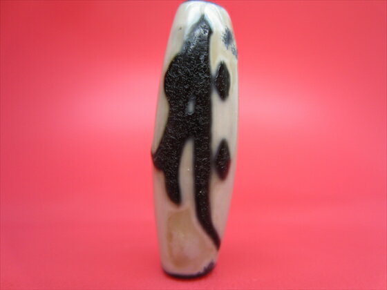 ڥ٥åŷǡŷ()ŷۡڰʪ