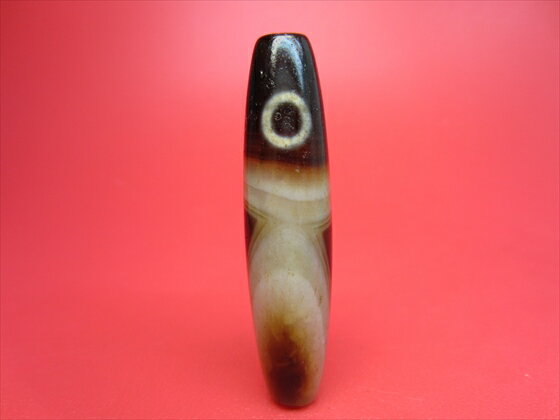 �ڥ��٥å�����ŷ������ŷ�����������ŷ����������ۡڰ���ʪ��