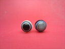 【チベット高級天珠】羊眼板珠・天眼珠約13.6〜13.8mm【水晶入り】【2粒SET】【一点物】