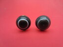 【チベット高級天珠】羊眼板珠・天眼珠約13.6〜13.9mm【水晶入り】【2粒SET】【一点物】