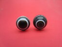 【チベット高級天珠】羊眼板珠・天眼珠約13.6〜13.9mm【水晶入り】【2粒SET】【一点物】