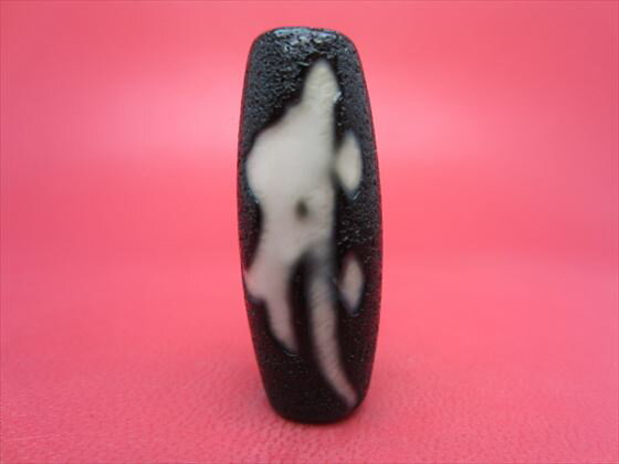 ڥ٥åŷǡŷ()ζڲùۡڰʪ