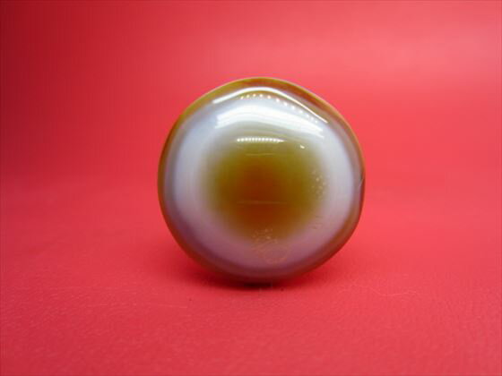 【チベット高級天珠】羊眼板珠・天眼珠約28×18mm【水晶入り】【一点物】