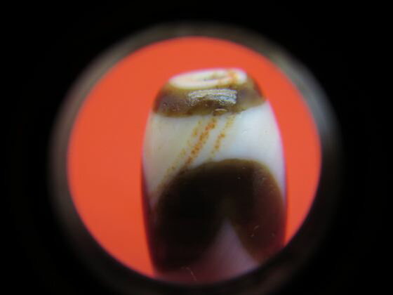 【虎牙紅朱砂天珠】約21×12.6mm【馬蹄痕】【一点物】