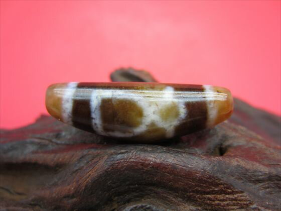 【チベット風化天珠】財神天珠約38×12×11mm【牛角】【一点物】