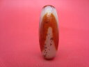 【チベット紅玉髄天珠】虎牙天珠カーネリアン約28×11mm【鉱物入り】【一点物】
