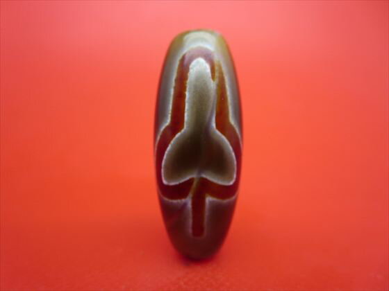 【チベット天珠】菩提天珠約31×12mm【一点物】